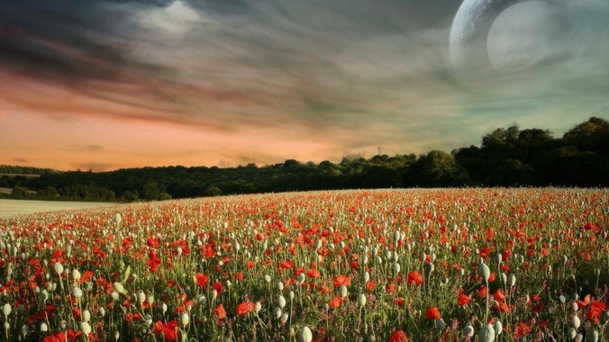 据报道称&ldquo;浏览器内核有上千万行代码&rdquo;，浏览器内核真的很复杂吗？